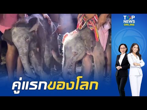 Start Video Elefantenjunge und -Mdchen 