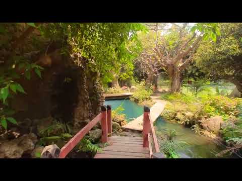 Land of Angels Waterfall Park - Chiang Mai Video